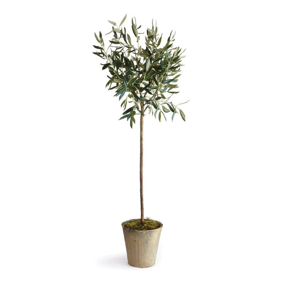Olive Tree Potted 46"