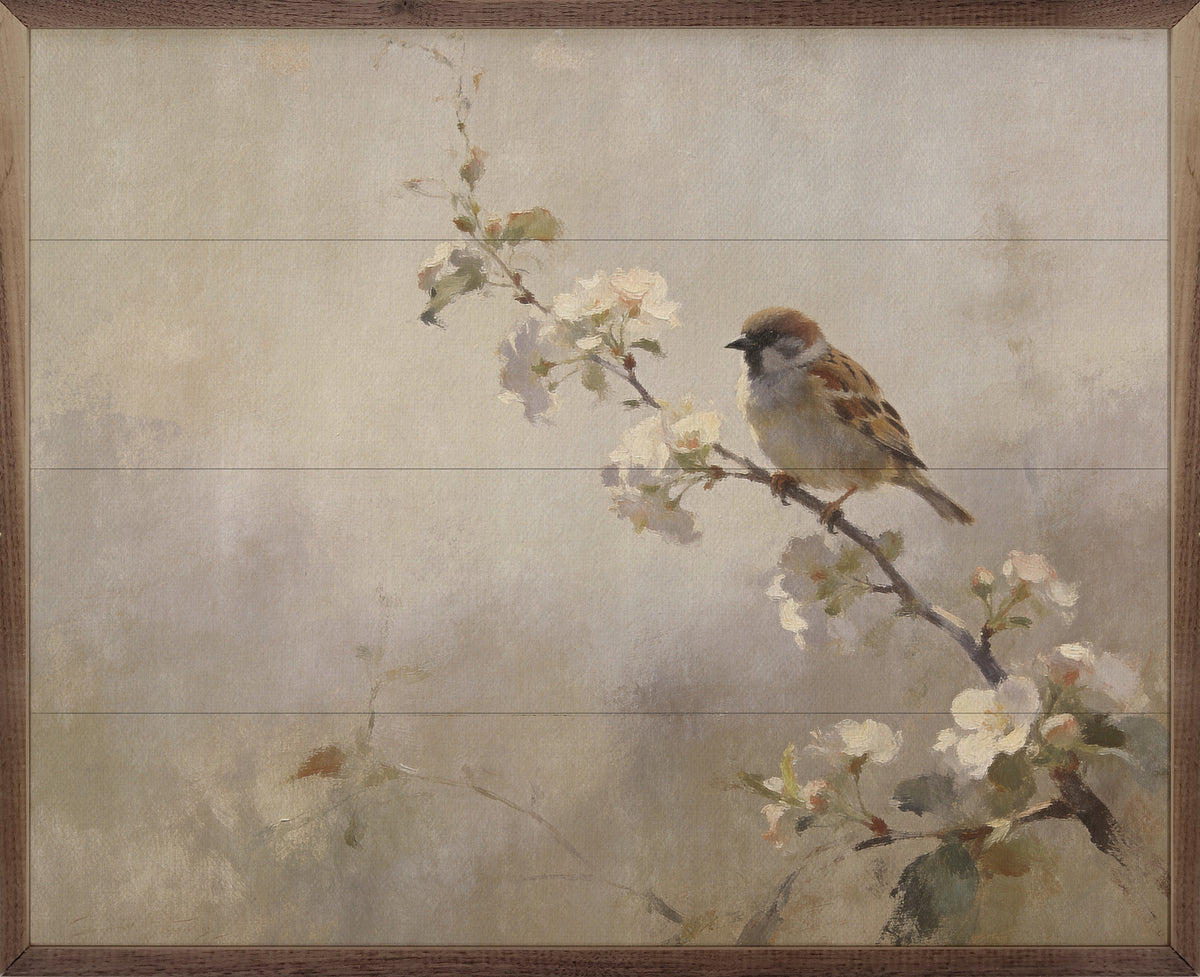 Spring