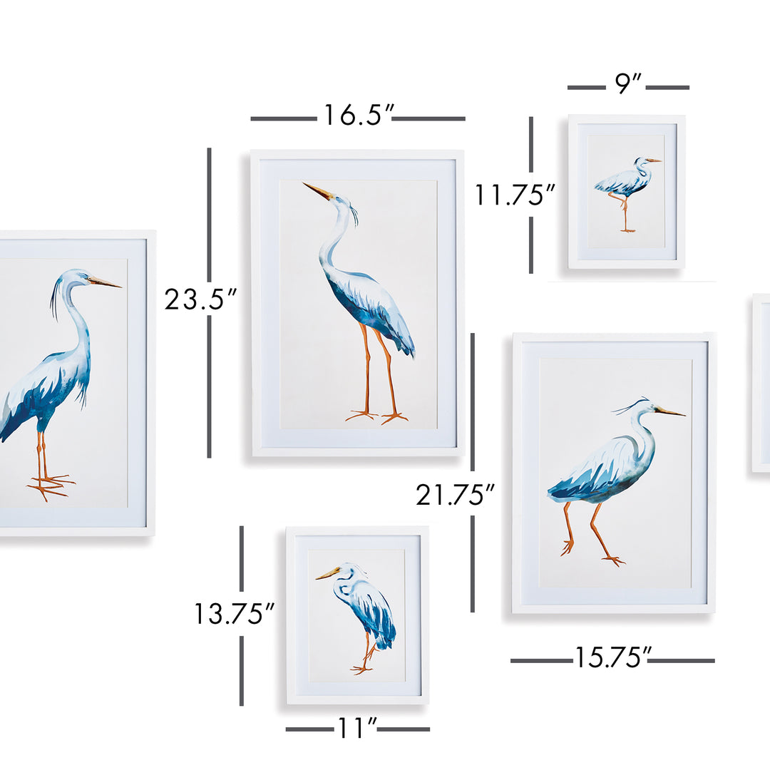 Blue Heron Gallery Prints, Set Of 6