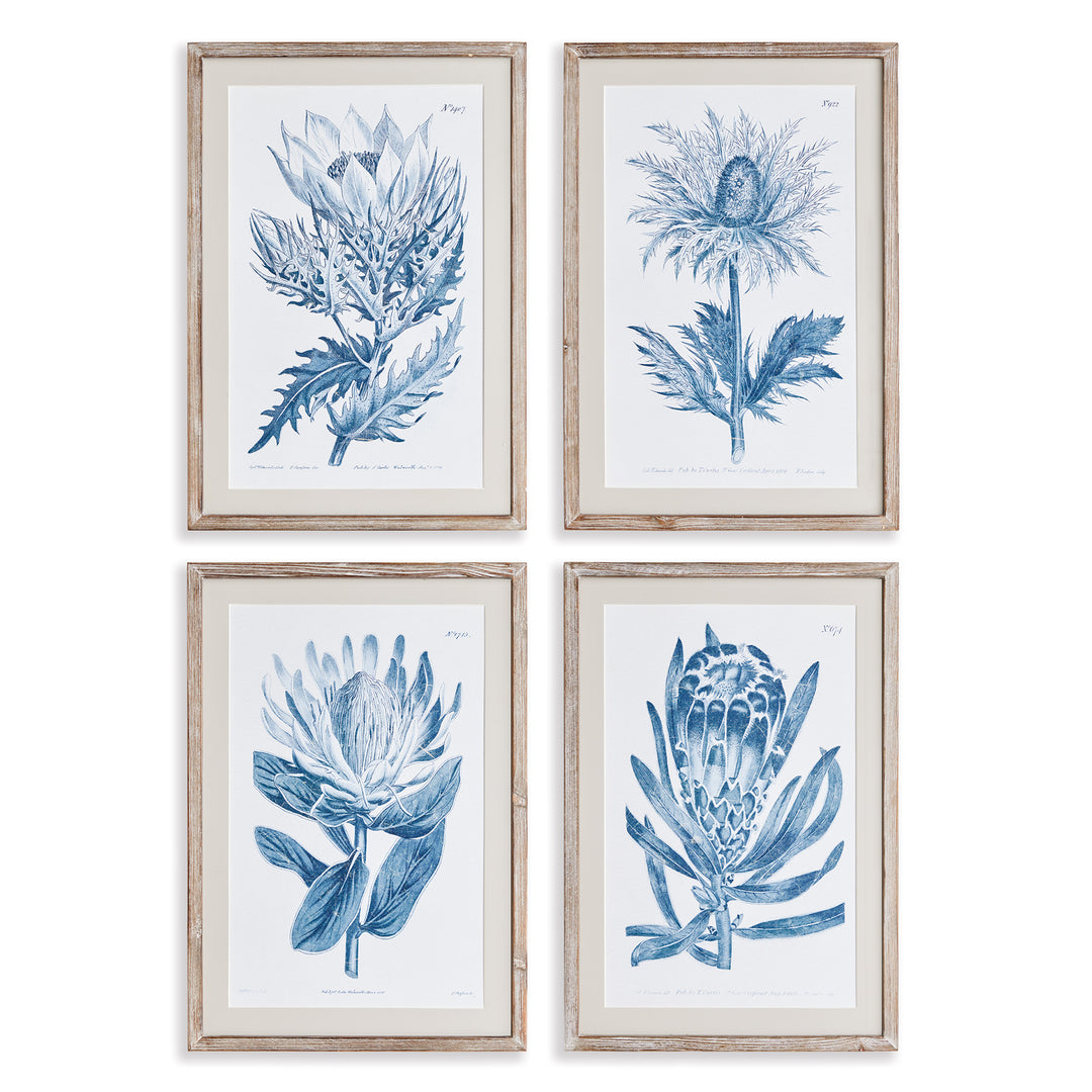 Indigo Protea Prints St/4