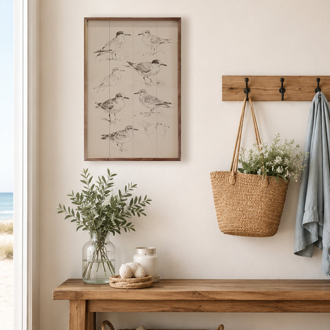 Coastal Shorebird Studies