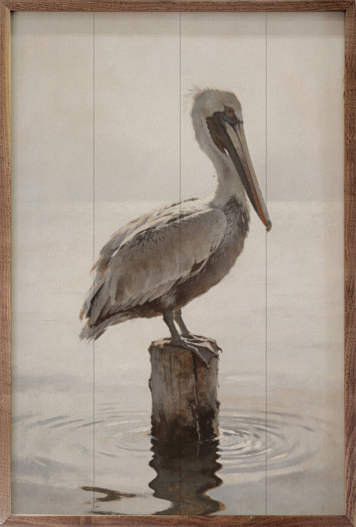 Weathered Pelican Portrait