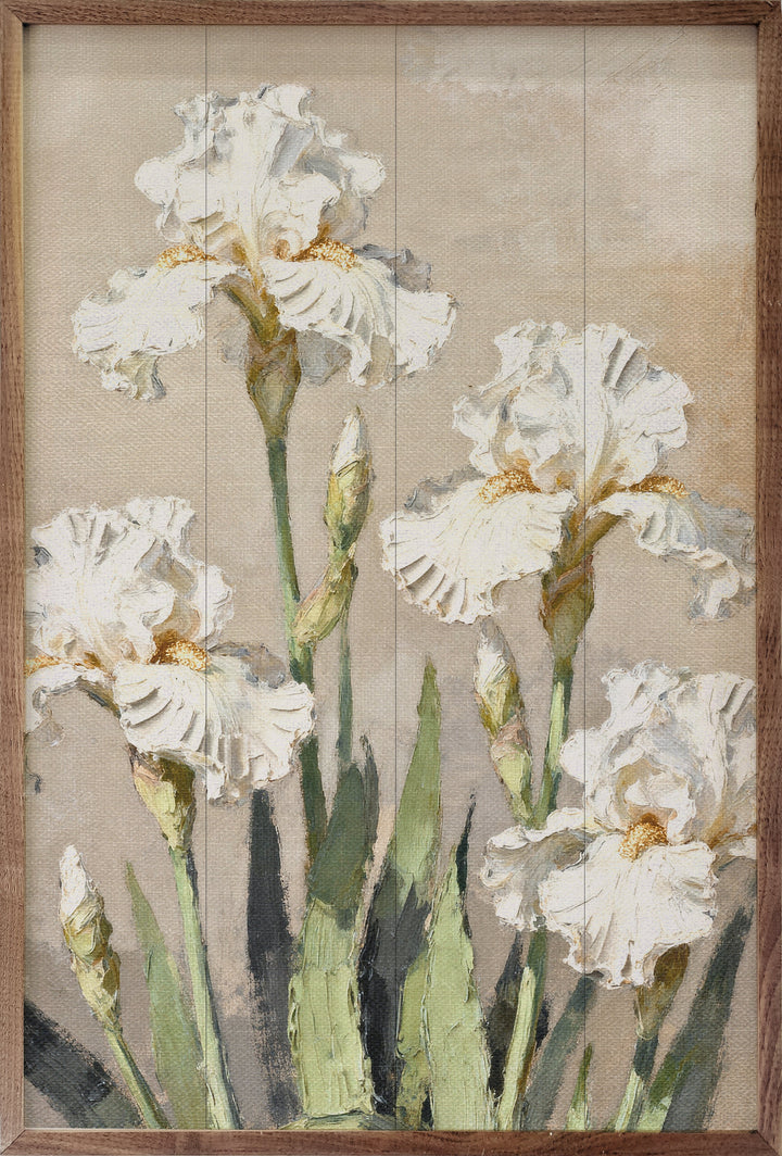 Iris Patch