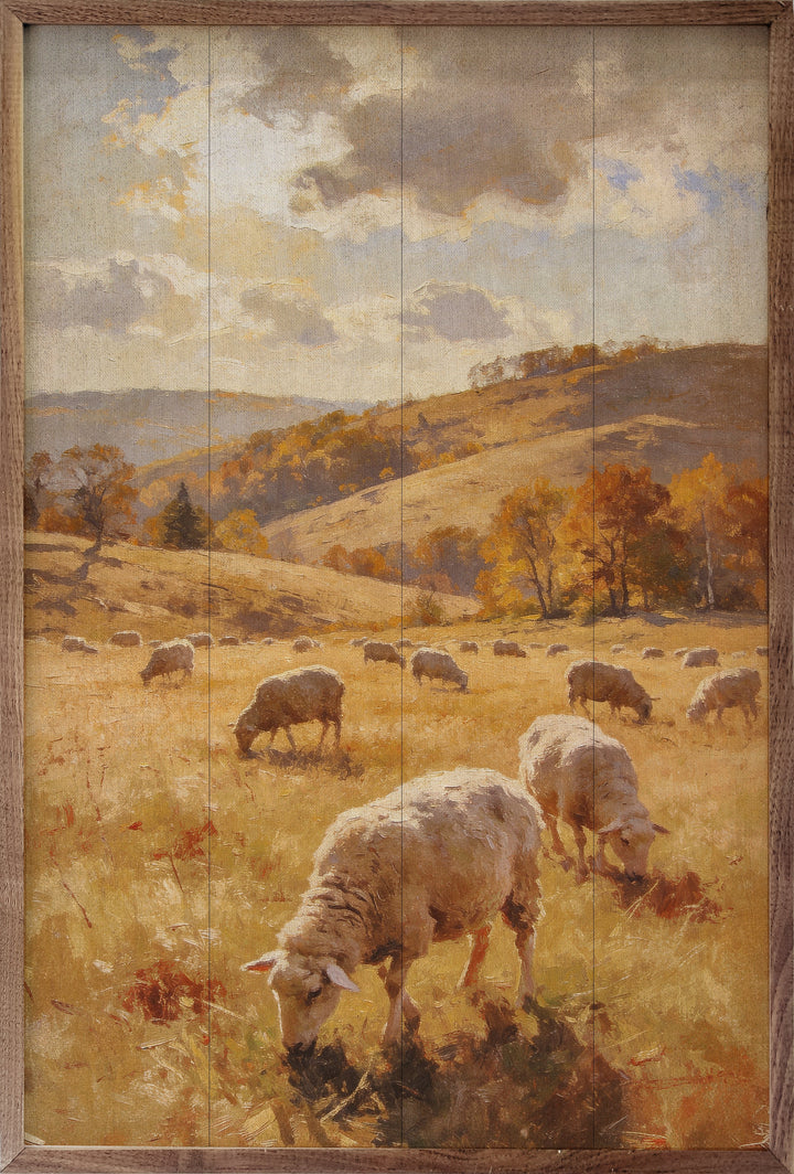 Autumn Sheep In The Pasture