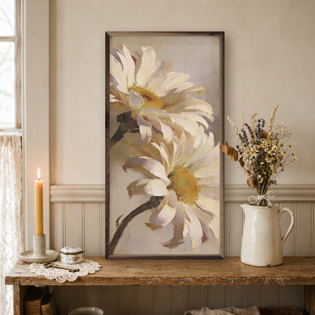 Large Meadow Daisies In Bloom