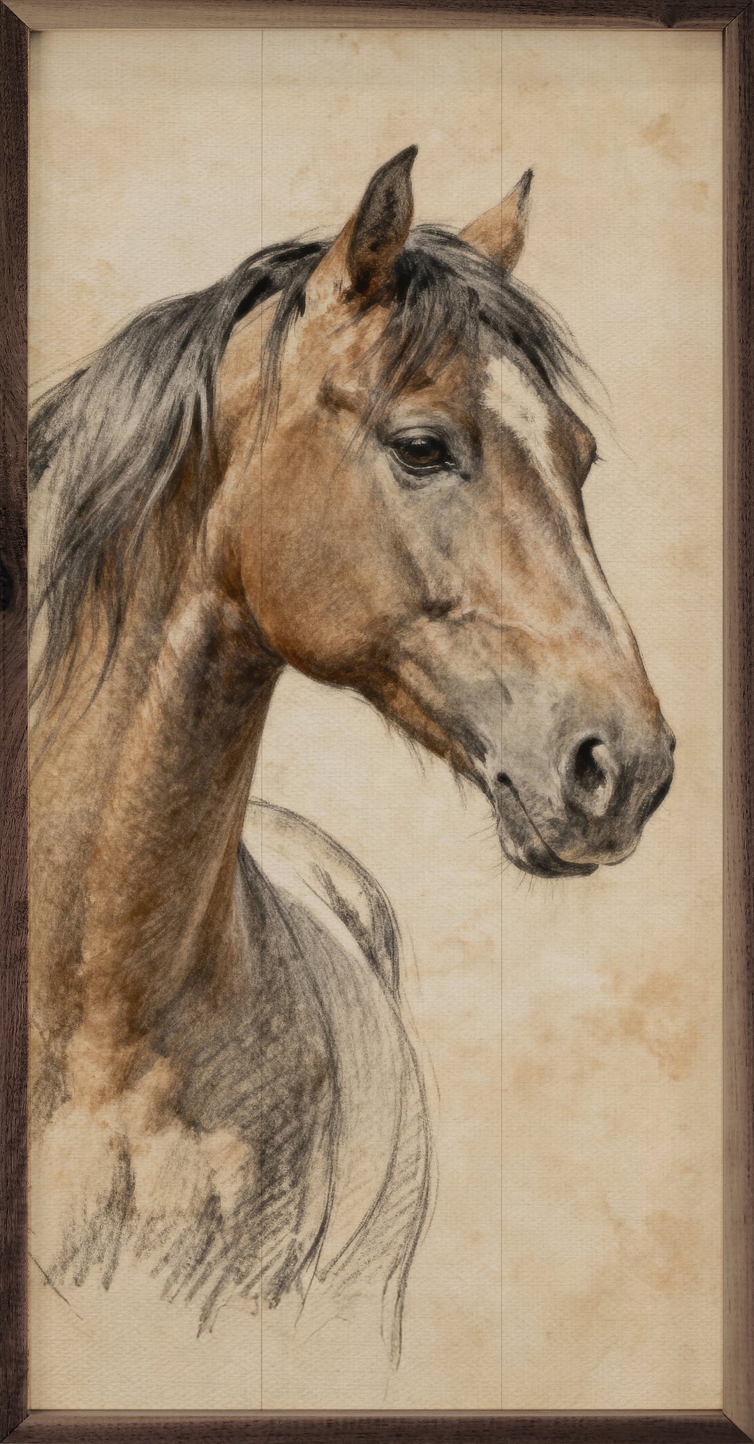 Horse Pencil Study