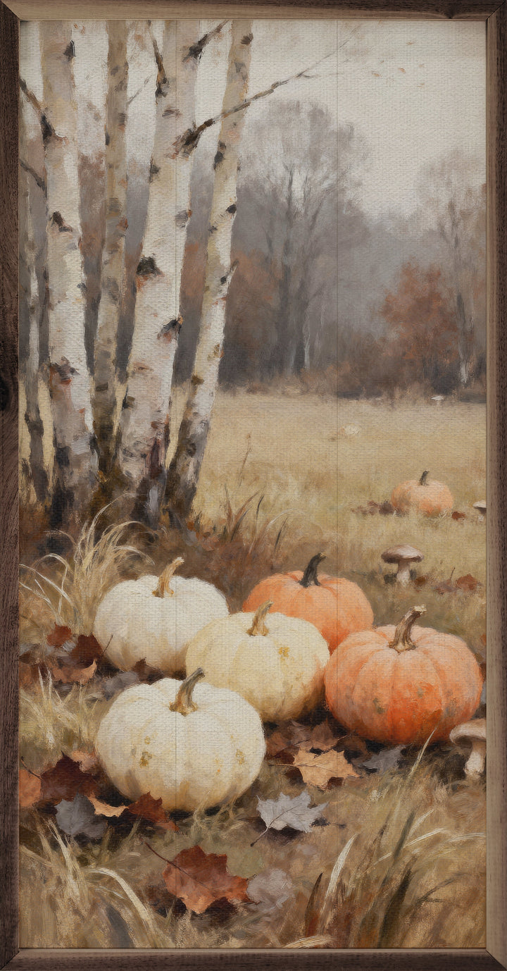 Pumpkins And Birch Trees