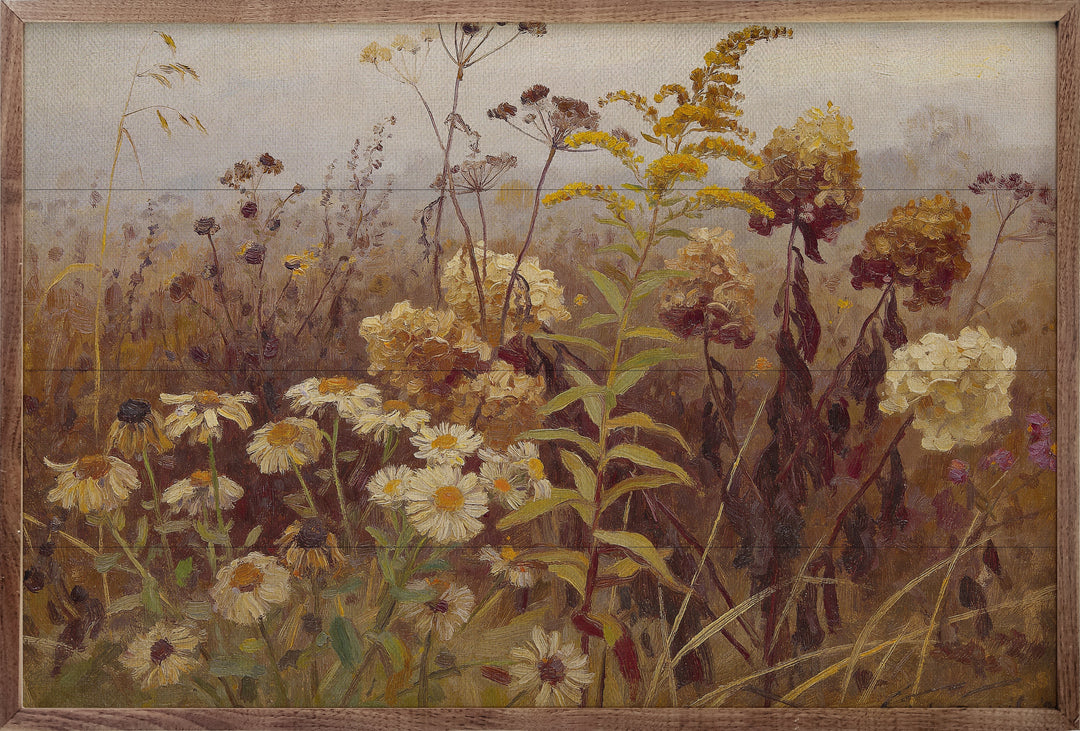 Late Season Wildflower Meadow