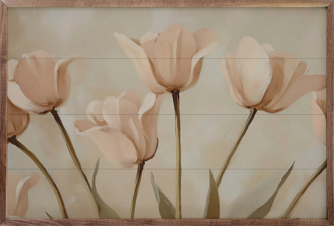 Pale Pink Poppies By Franklyn Gregory