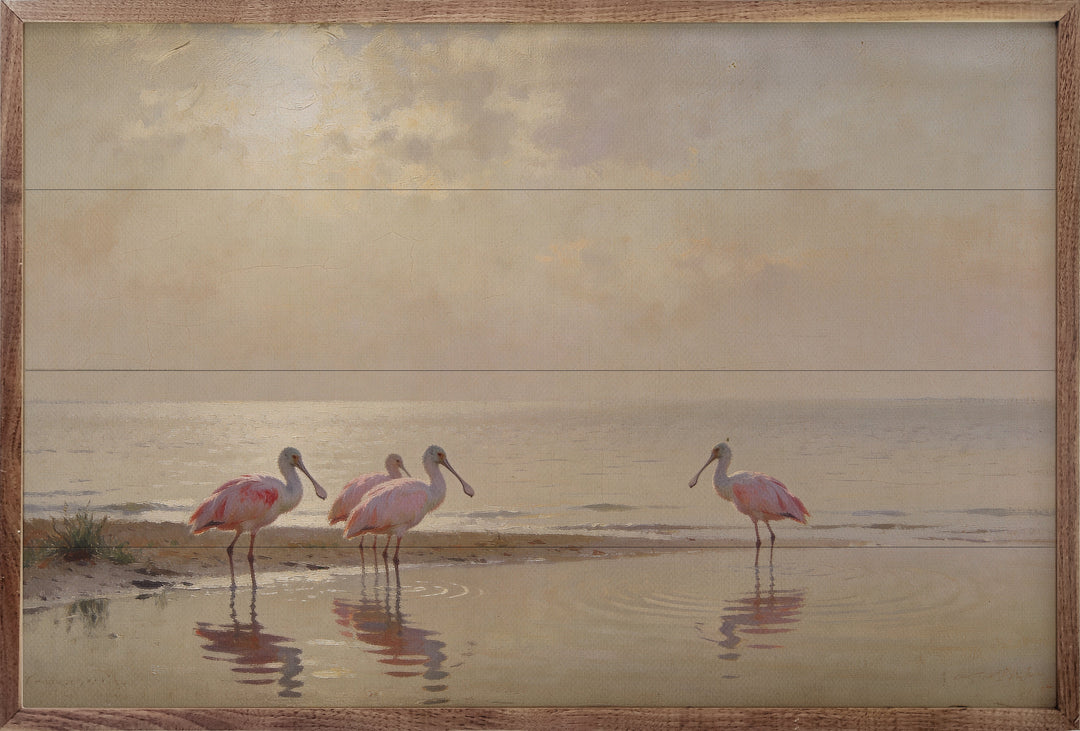 Roseate Spoonbills At Low Tide