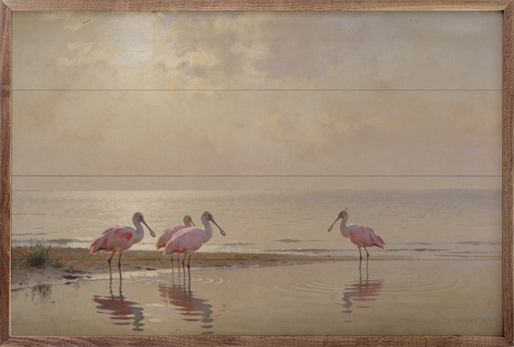 Roseate Spoonbills At Low Tide