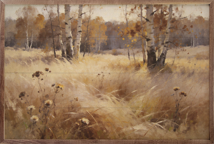 Soft Prairie Grasses Birch Trees