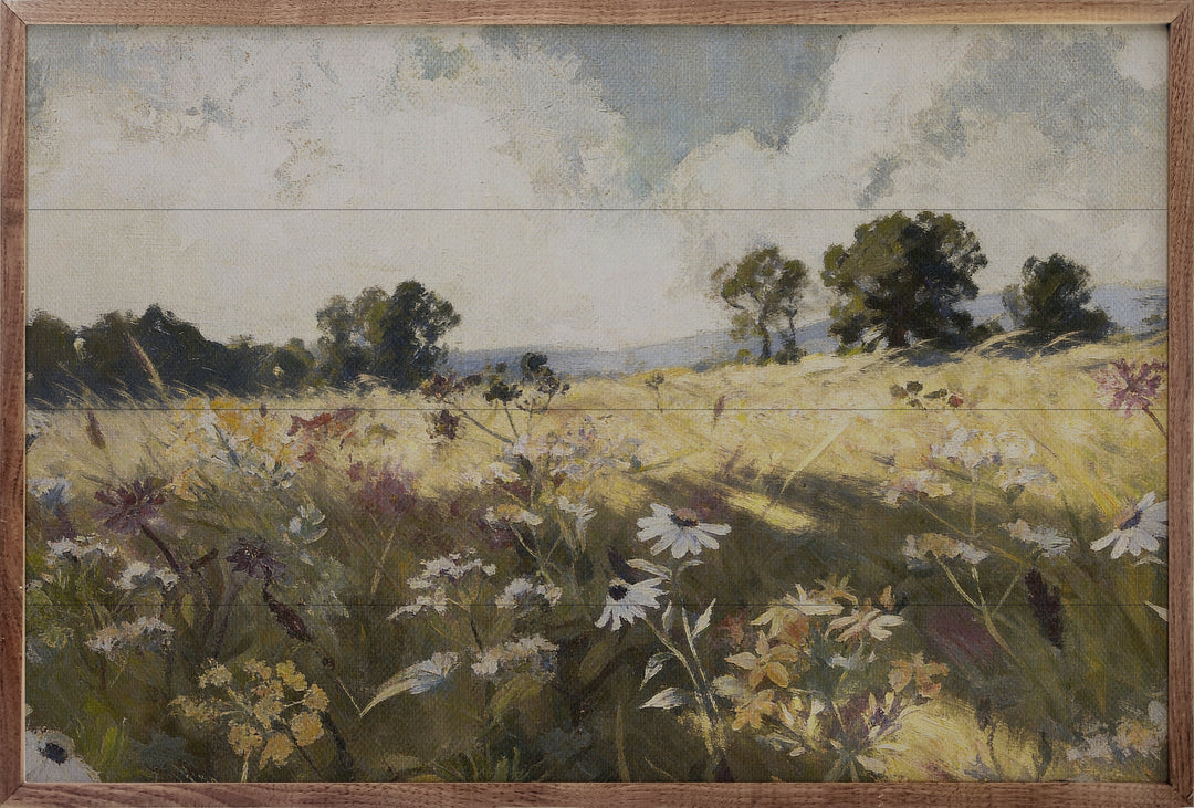 Summertime Daisy Field