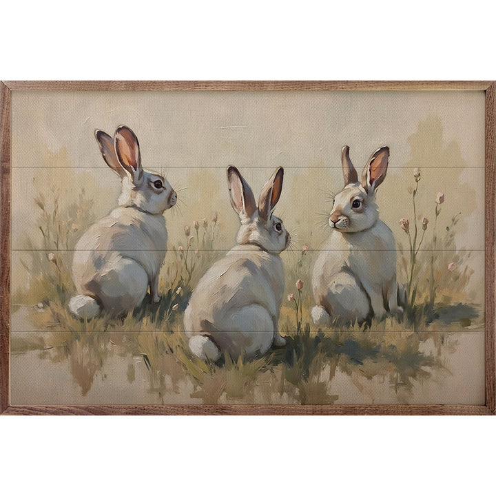 Three White Bunnies In Grass