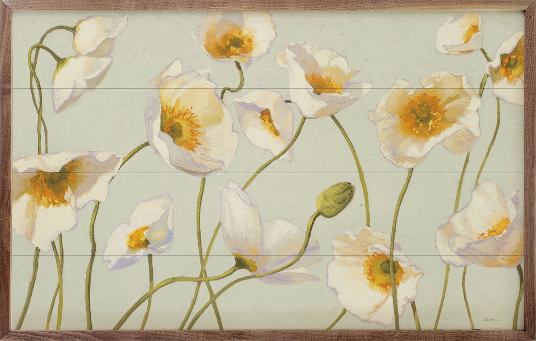 White And Bright Poppies