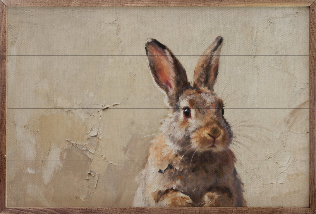 Brown Bunny Looking