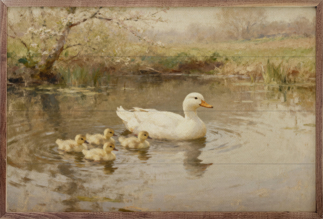 Ducklings Family