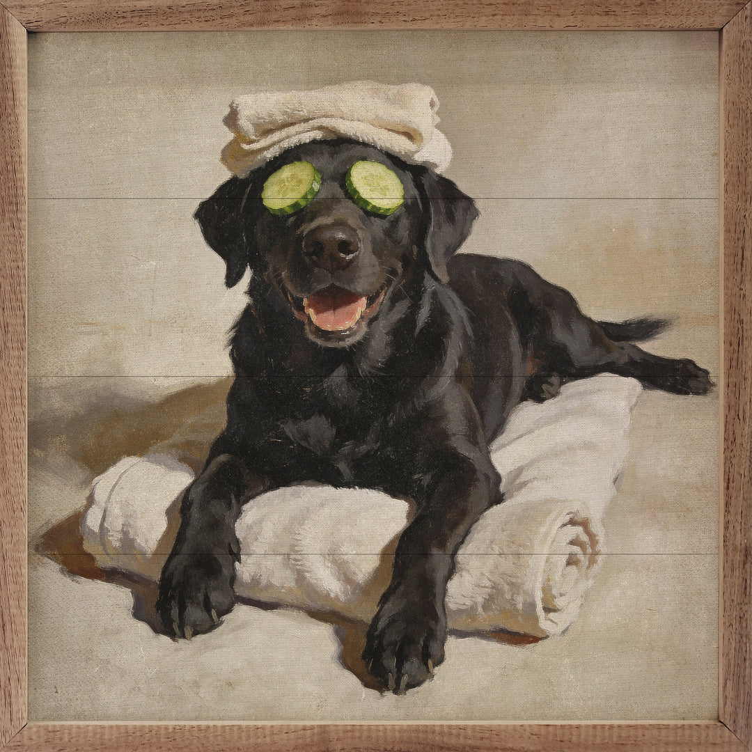 Bath Time Black Labrador