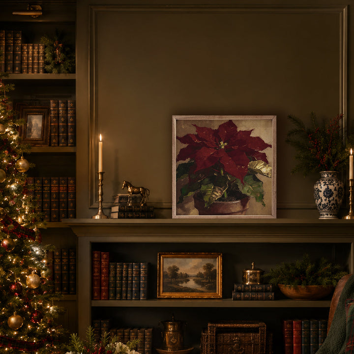 Dark Winter Poinsettia