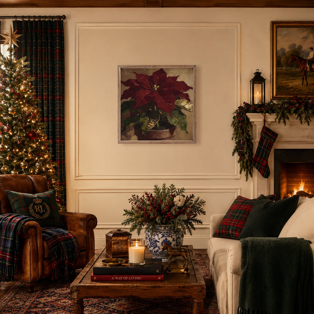 Dark Winter Poinsettia