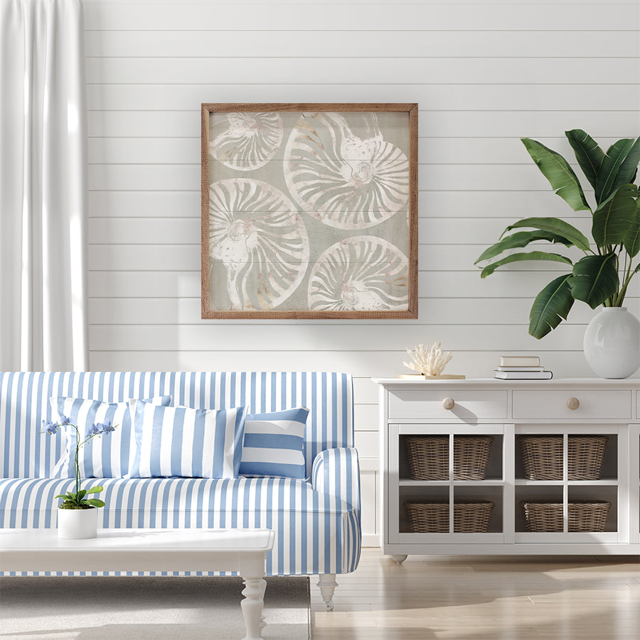 Nautilus Shell Collection By Carol Robinson