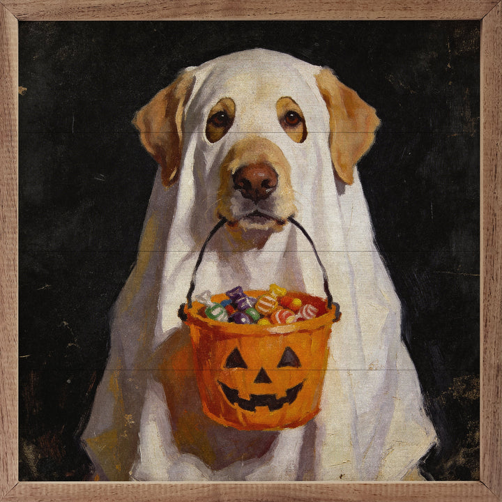 Trick Or Treat Lab