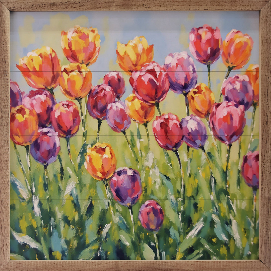 Tulip Field II