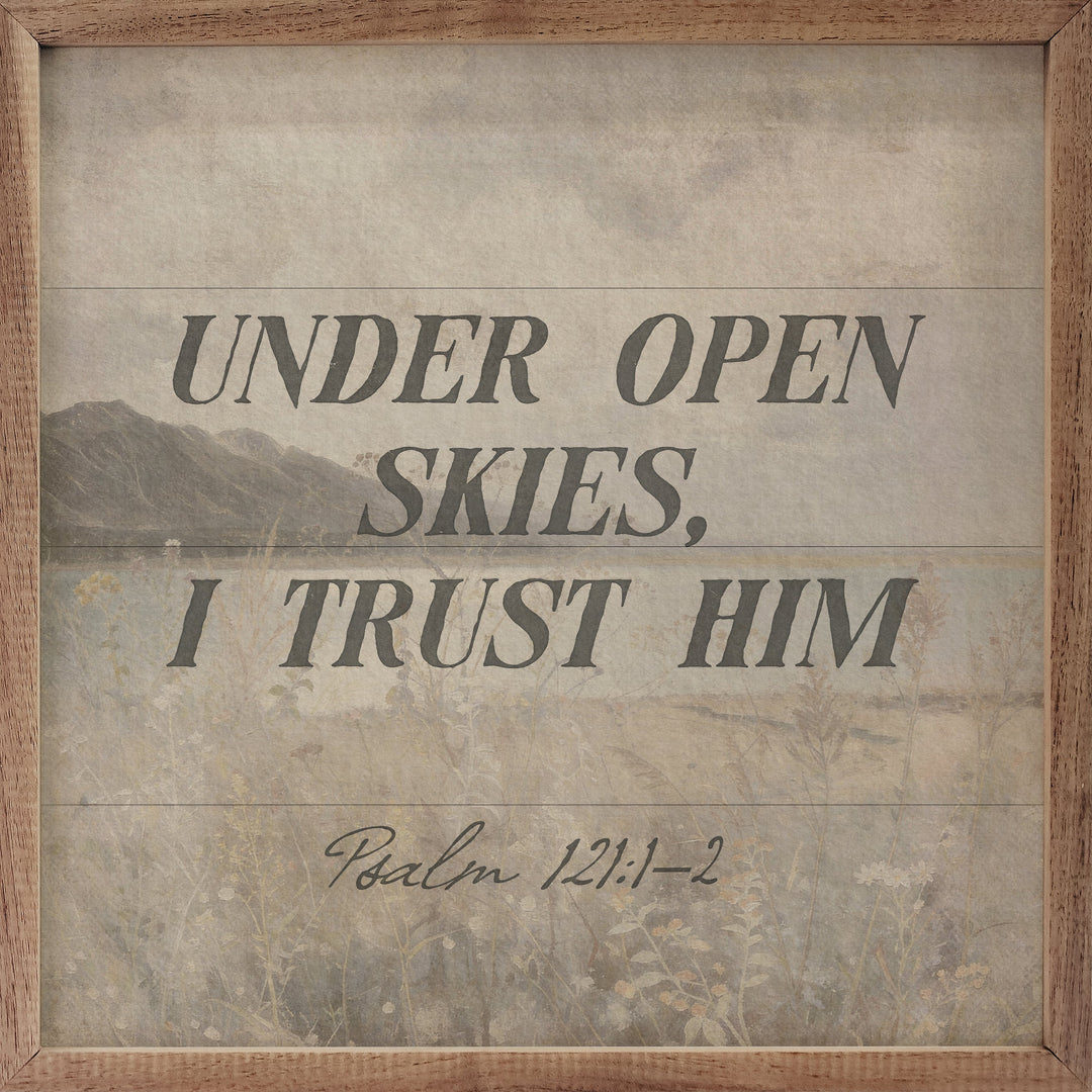 Under Open Skies