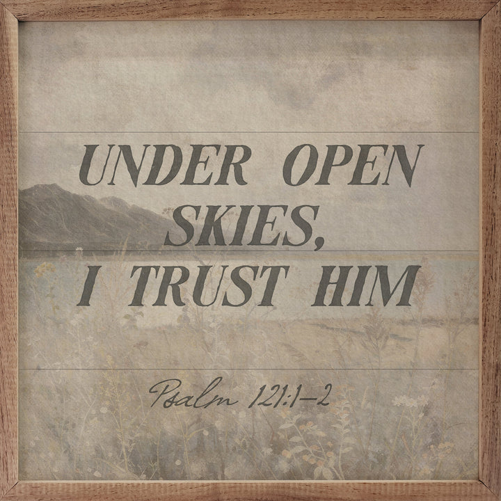 Under Open Skies