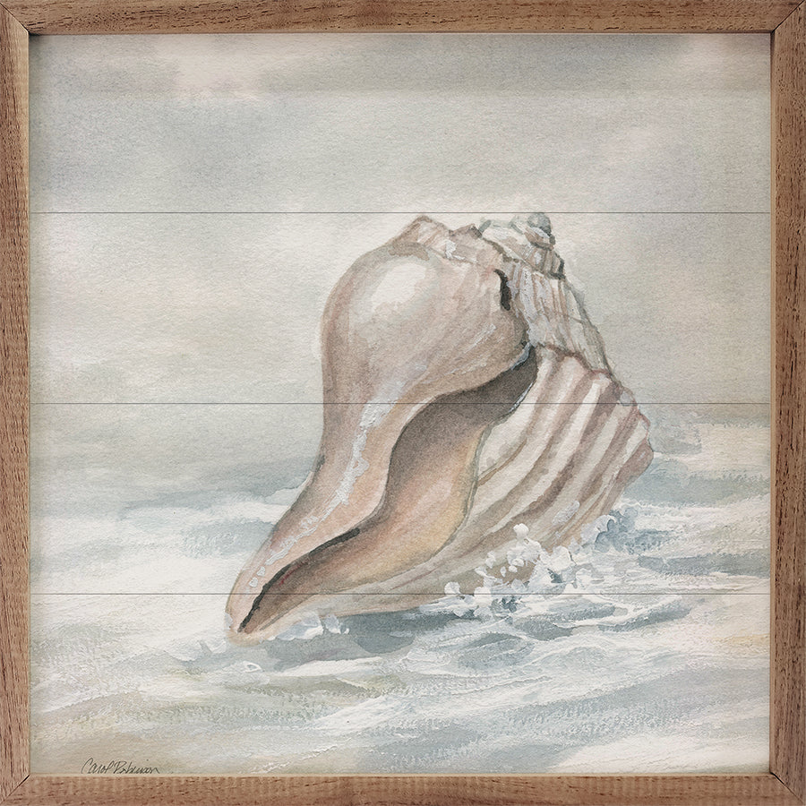 Washed Ashore II By Carol Robinson