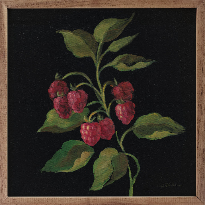 Framboise By Silvia Vassileva