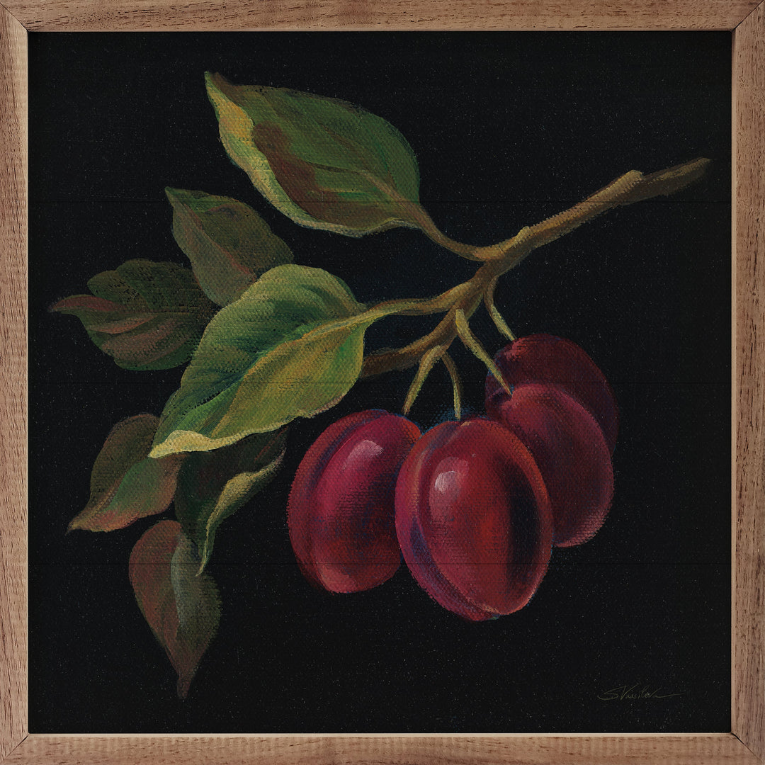 Prune By Silvia Vassileva