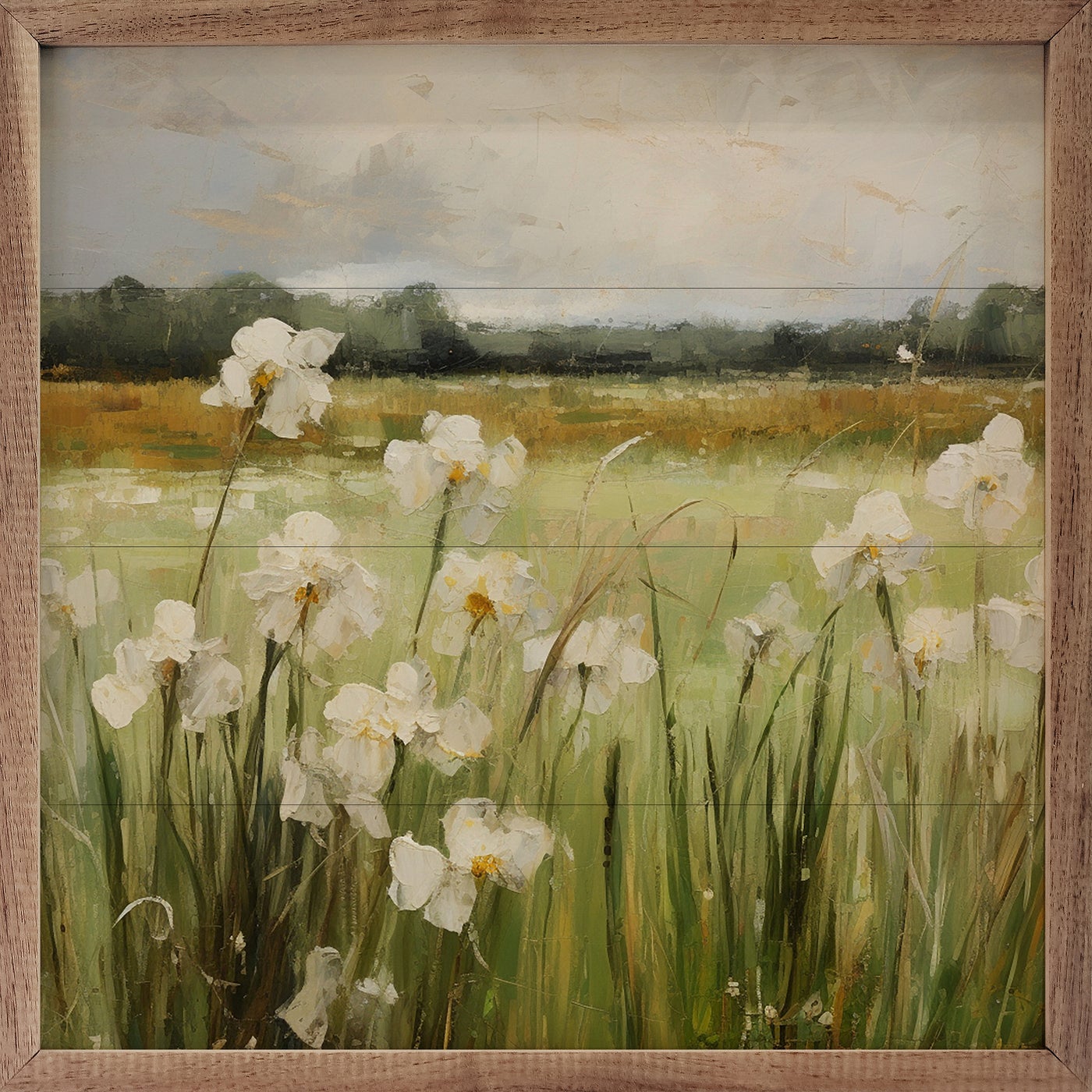 Wild White Irises By Gina Kelly