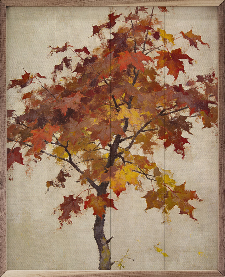 Autumn Maple Tree Study