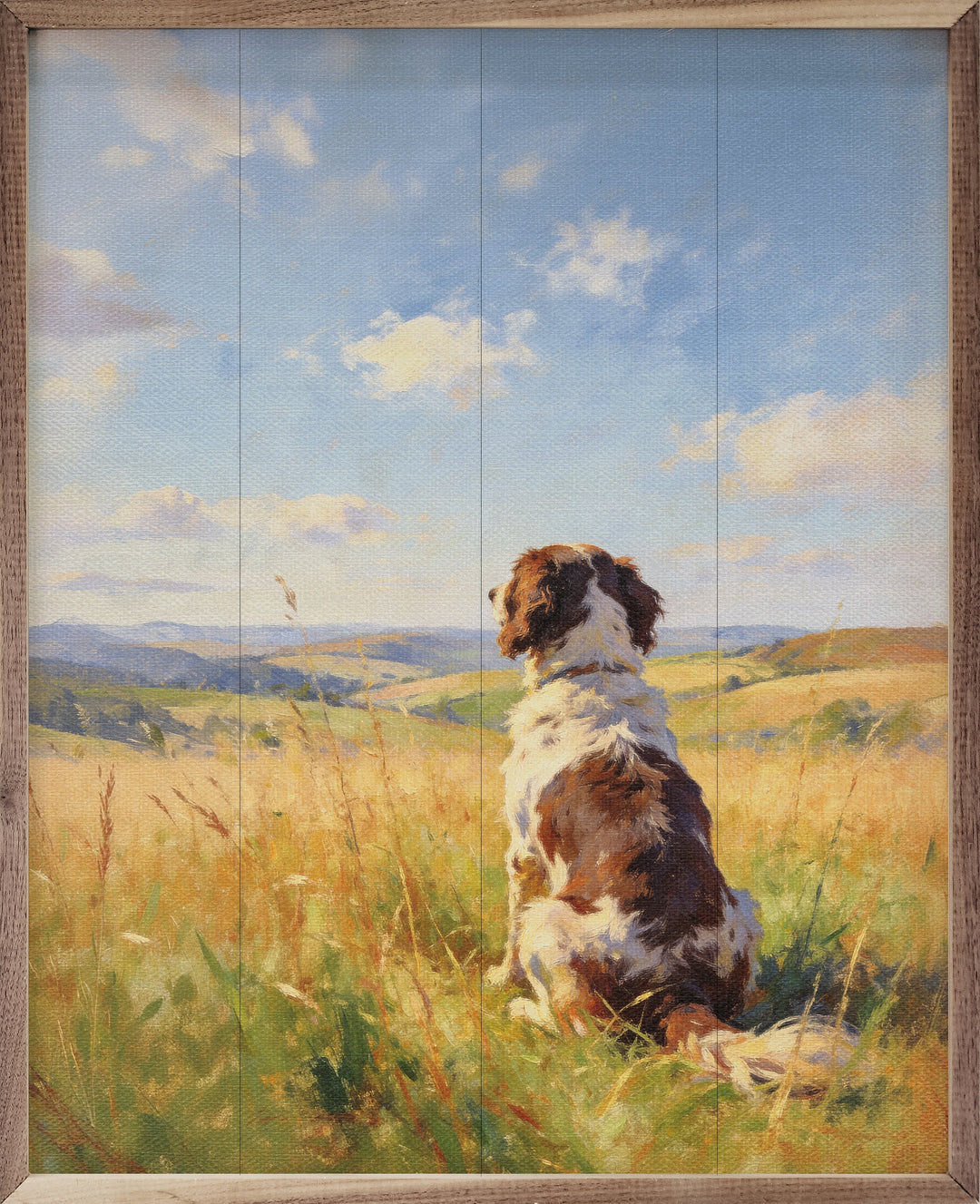 Sunny Day English Springer Spaniel