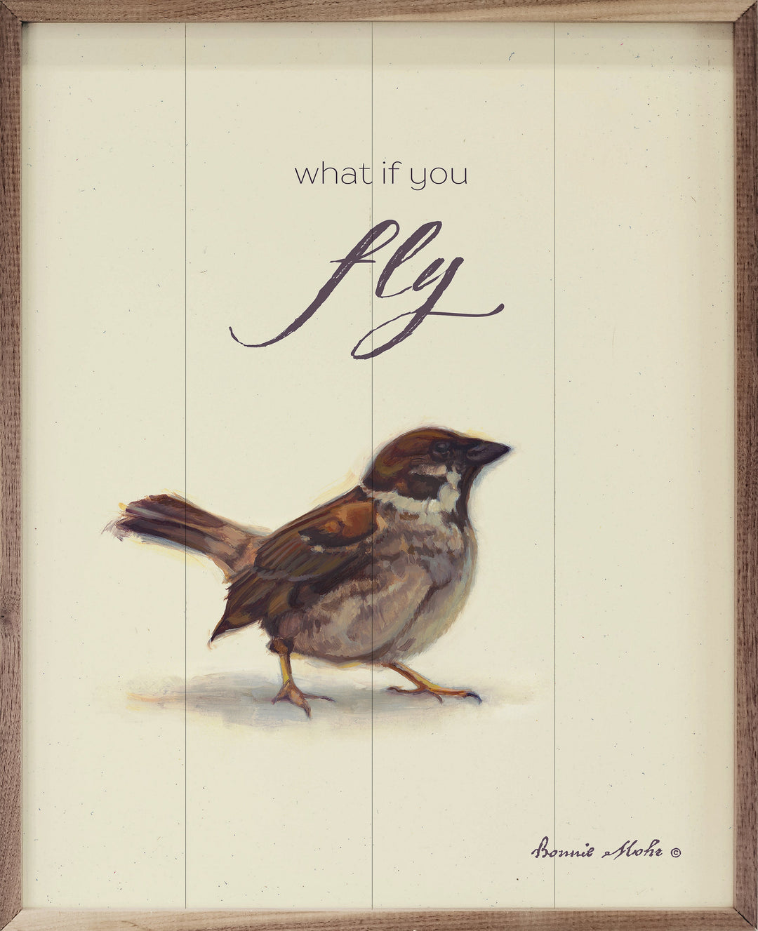 What If You Fly by Bonnie Mohr