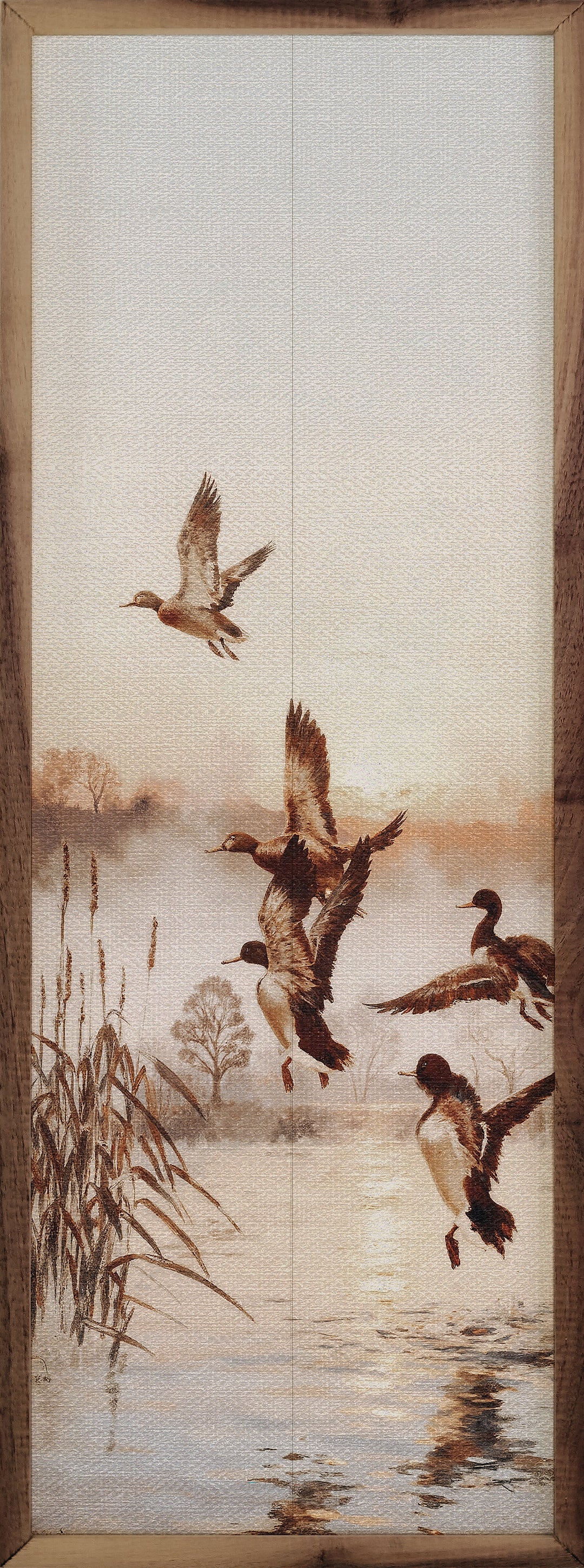 Wood Ducks On The Lake Narrow Print