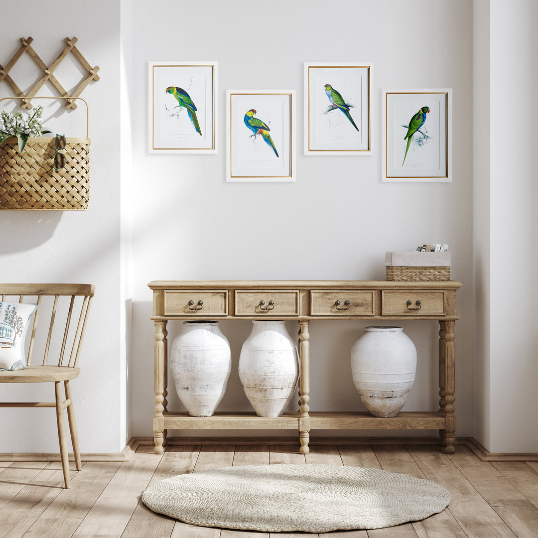 Colorful Parrots Prints St/4