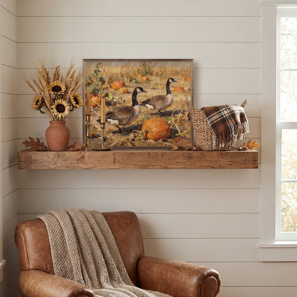 Canadian Geese In Autumn Field