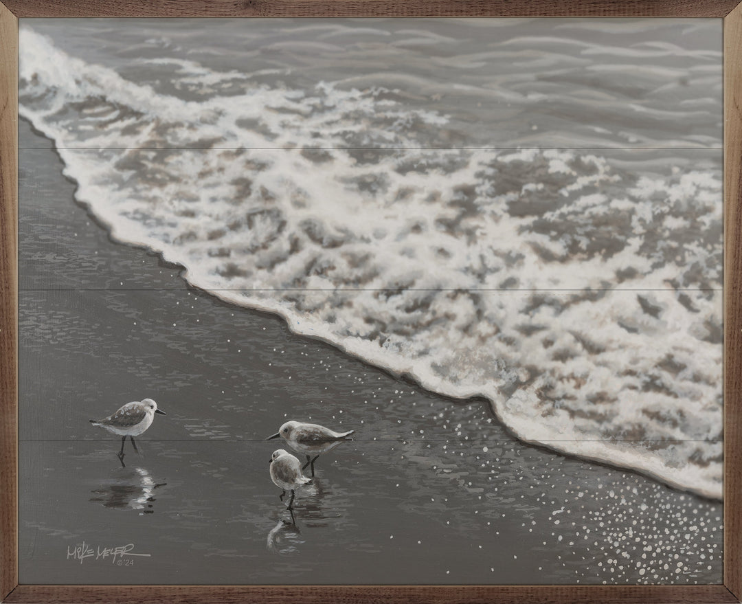 Shorebirds By Painted Sky