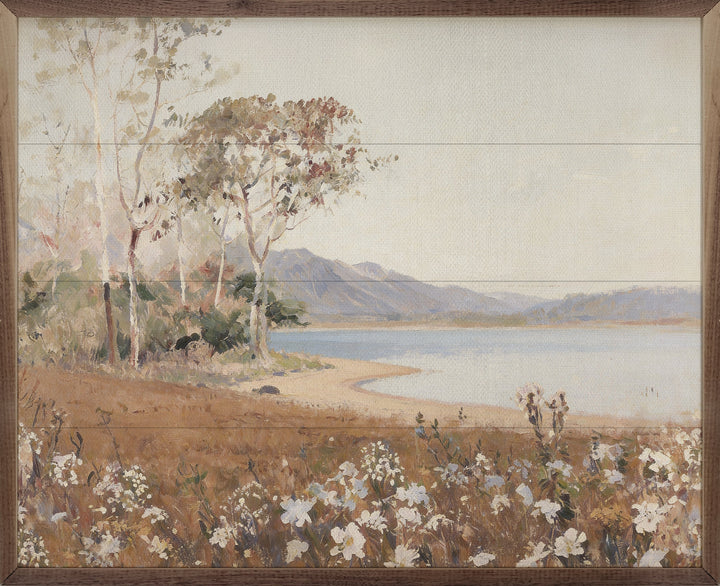 Shoreline Meadow