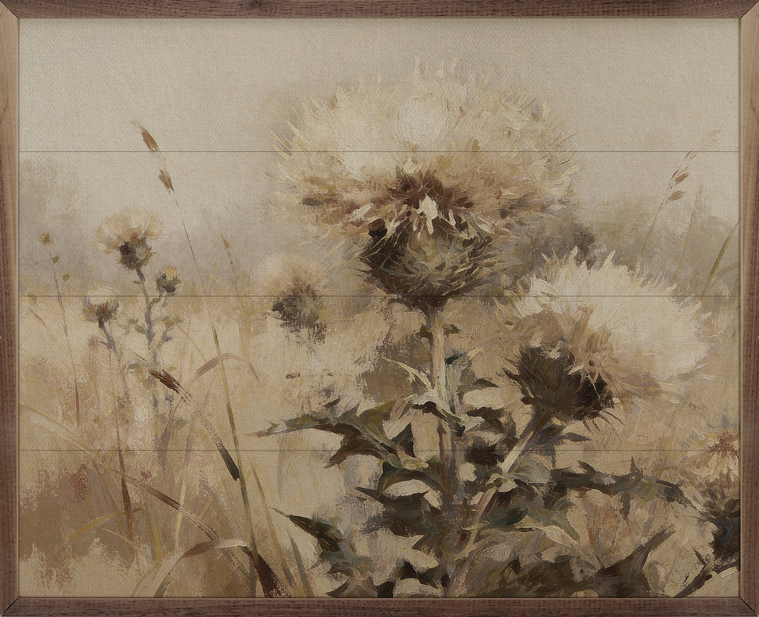 Weathered Thistles In The Meadow