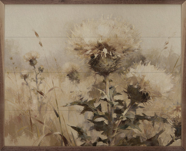 Weathered Thistles In The Meadow