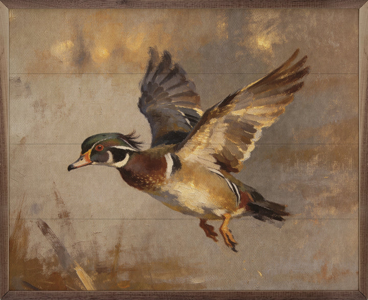 Wood Duck In Flight Over Pond
