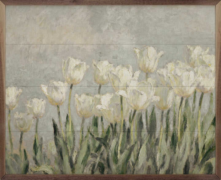 Tulips Patch