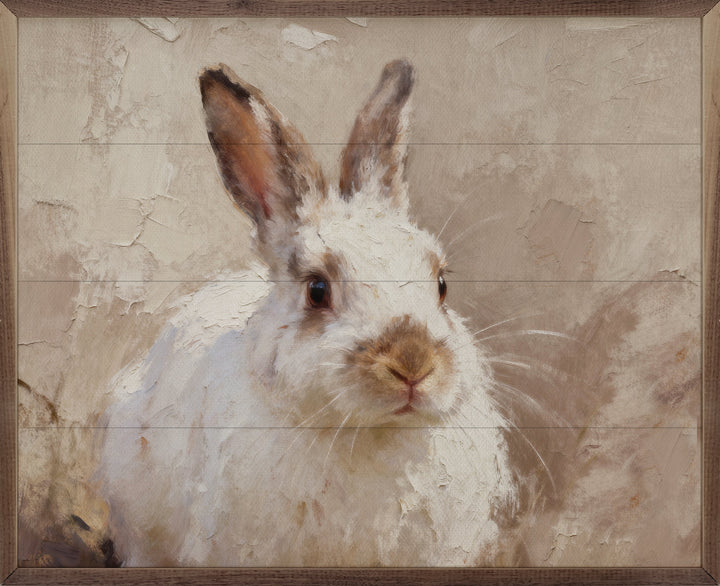 White Bunny Looking