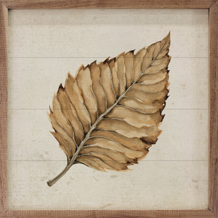Beech Leaf