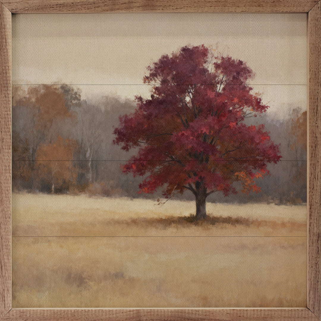 Blaze Maple