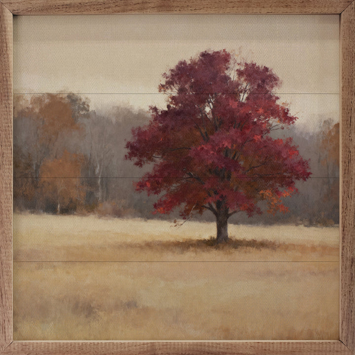 Blaze Maple