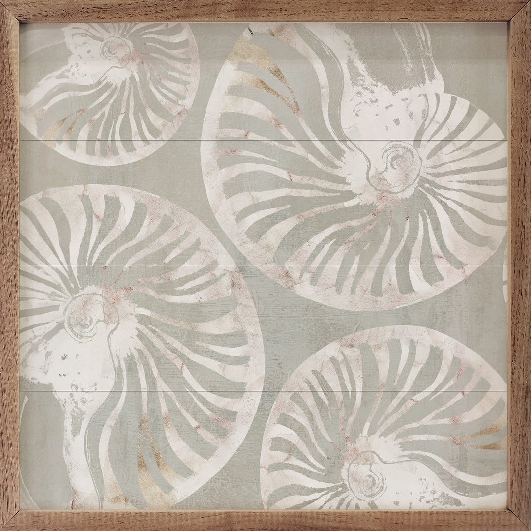 Nautilus Shell Collection By Carol Robinson